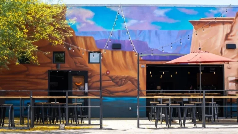 The Theodore Beer + Wine Bar and Bottle Shop
